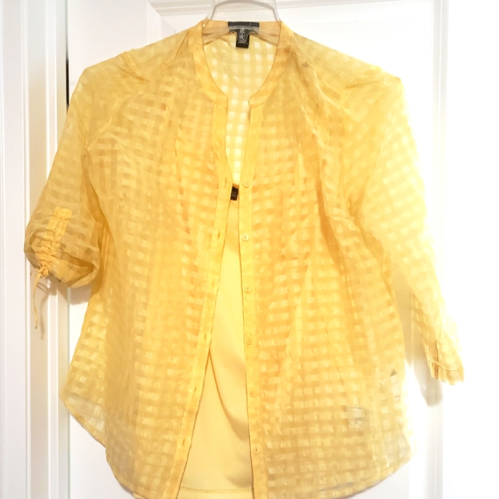 Ladies top
